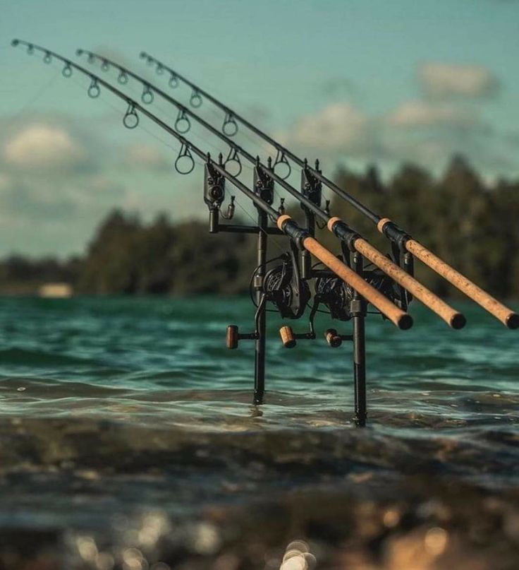 Hengelsport in IJmuiden