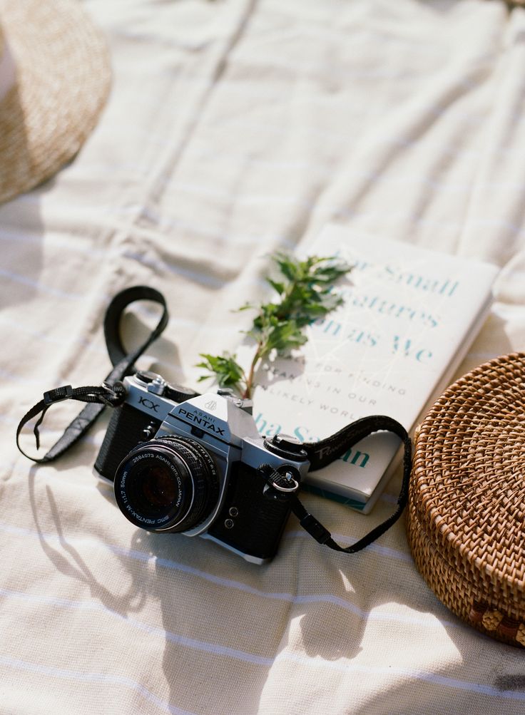 Trouwfotograaf in IJmuiden​