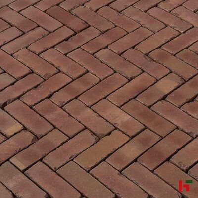 SierbeStrating in IJmuiden