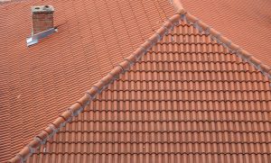 Bedrijven in IJmuiden